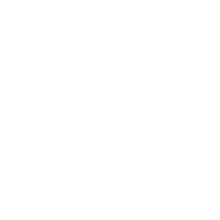 Planet Punk Music - Logo Trans